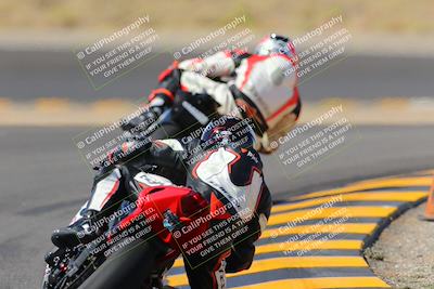 media/Oct-08-2022-SoCal Trackdays (Sat) [[1fc3beec89]]/Turn 11 Backside (1145am)/